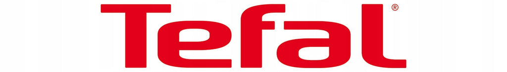 Odkurzacz piorący do tapicerki dywanów Tefal Clean It Hot&Cold IZ7021 1150W