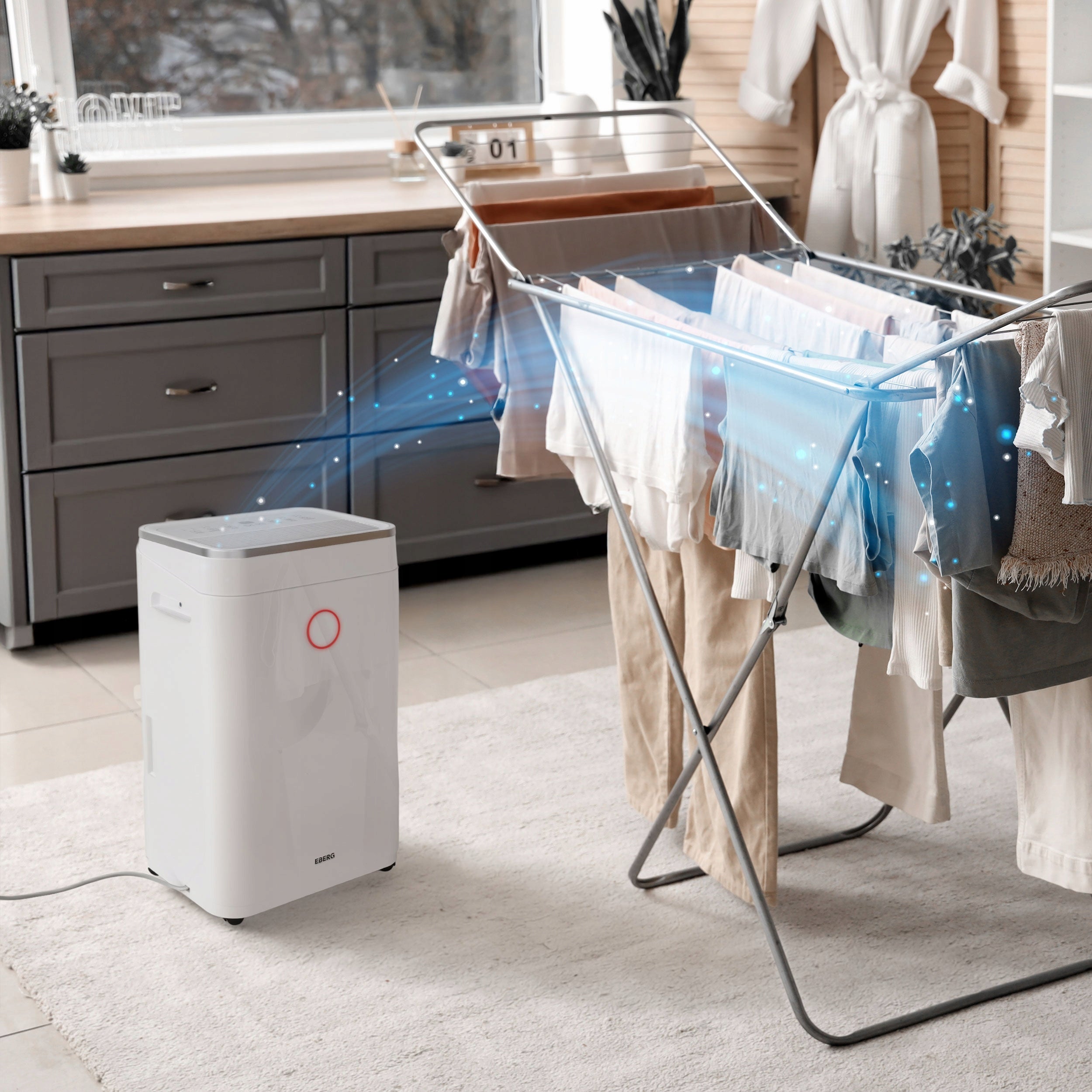Osuszacz powietrza EBERG RICO pochłaniacz 12l/24h +WiFi +TIMER +higrostat