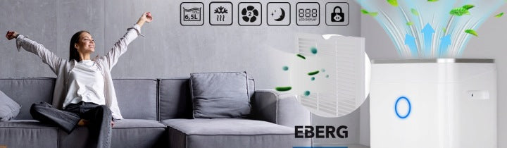 EBERG Osuszacz powietrza EBERG RICO pochłaniacz 12l/24h +WiFi +TIMER +higrostat